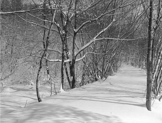 Road through Brister's Swamp, heavy snow