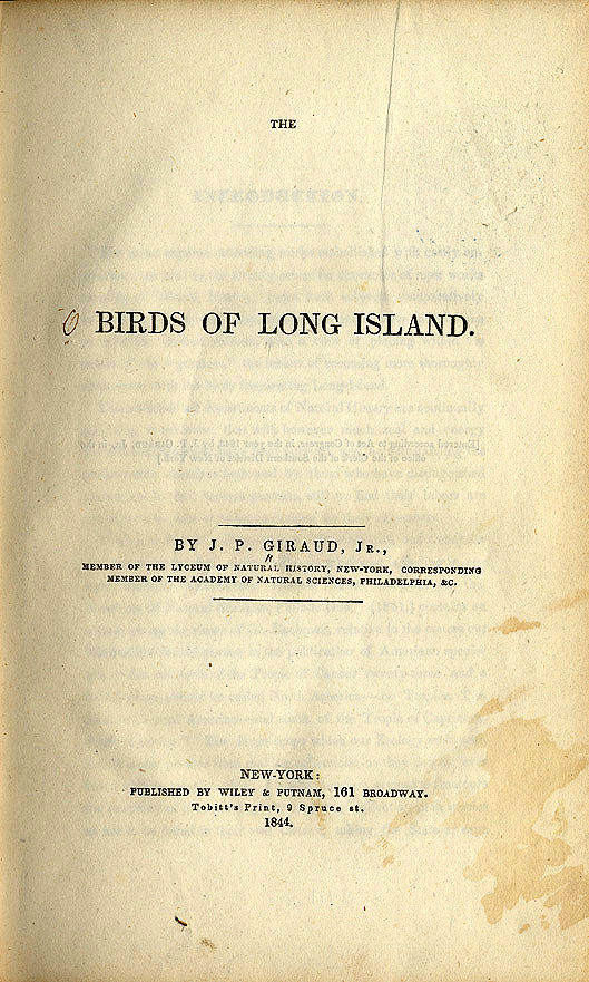 Birds of Long Island