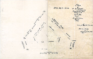 117 Plan of a Woodlot in the North Part of Framingham Mass. Belonging to Sarah Stacy ... Aug. 3, 1853