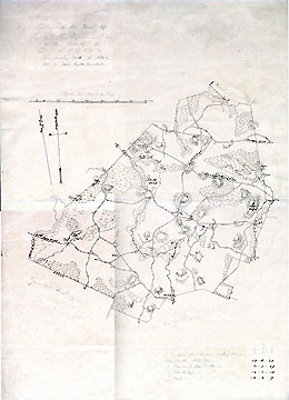 Plan of the Town of Lincoln in the County of Middlesex from Survey Made in 1830 by John G. Hale Fayette Street Boston [copy; n.d.]