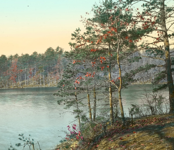 Herbert Wendell Gleason. Walden Pond, October foliage