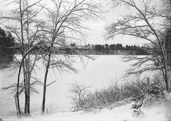 Herbert Wendell Gleason.  Snow-laden maples, Thoreau’s Point