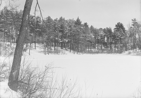 Herbert Wendell Gleason.  Thoreau’s Cove in winter, Walden Pond