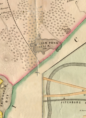 H.F. Walling, Walden Pond, close-up section