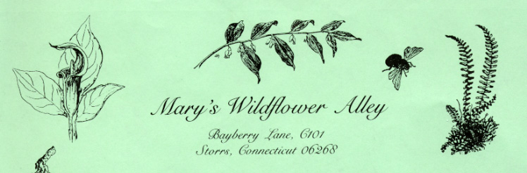 Mary Sherwood letterhead