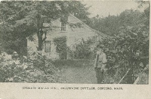 Ephraim Wales Bull, 
	Grapevine Cottage, Concord, Mass.; early to mid- 20th century
