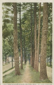 Path to Sleepy Hollow; 
	early 20th century