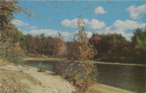 Thoreau's Cove near 
	hut site, Waldon [sic] Pond [copies three and four are captioned 

Thoreau's Cove near hut site, Walden Pond]; late 20th century