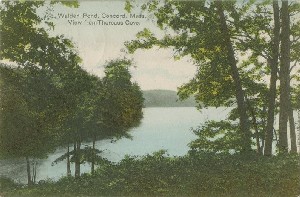 Walden Pond, 
	Concord, Mass. View from Thoreaus [sic] Cove.; early 20th century