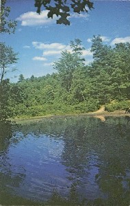 Thoreau's Cove at 
	Walden; late 20th century