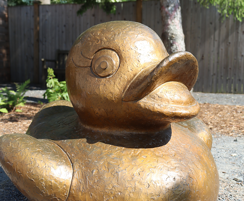 the Millie the duck statue in the Children&#039;s Garden background image