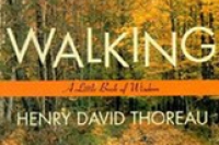 Concord Reads Walking by Henry David Thoreau thumbnail Photo