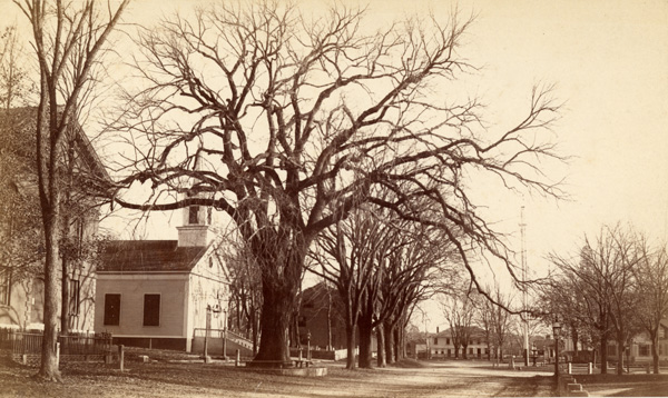 Alfred Hosmer photograph of the Town House, 1885