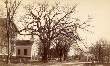 Thumbnail of Hosmer Photograph of the Town House Area, ca. 1885-1895