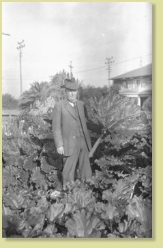 Luther Burbank with stalk of Giant Rhubarb, Santa Rosa, Cal.