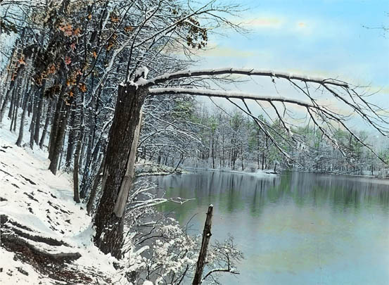Walden in winter (arching limb)