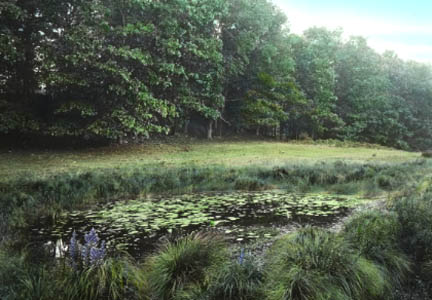 Pool in Conantum Pasture