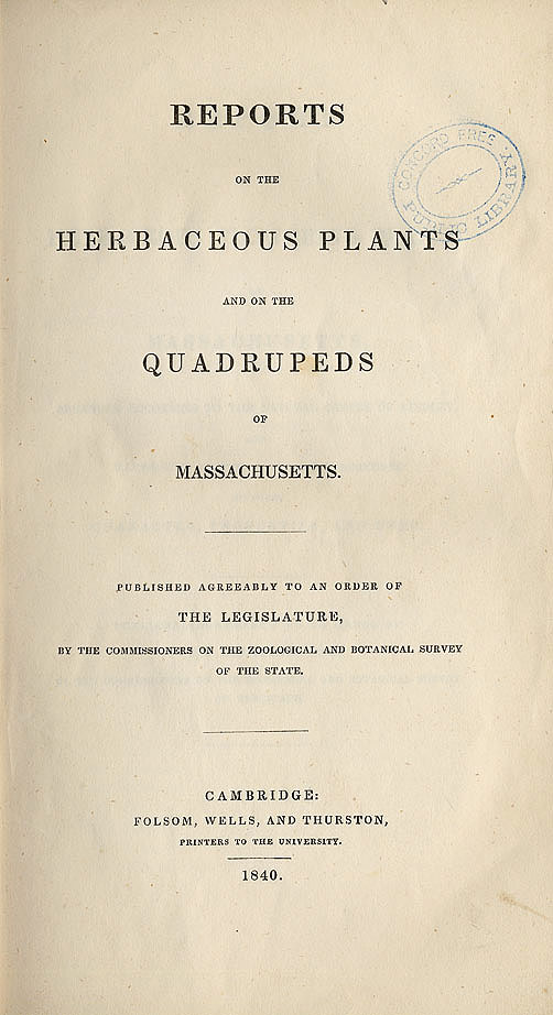 herbaceous plants