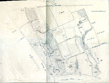 116 [For Marcus Spring] Eagleswood, Perth Amboy [N.J.] Nov. 1856