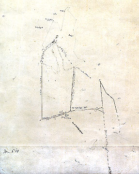Plan of the Goose Pond & Walden Pond Woodlots (so called) Belonging to the Heirs of John Richardson, Jr Esq ...Nov. & Dec. 1857