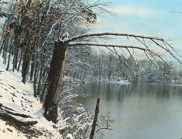 Herbert Wendell Gleason. Walden in winter, arching limb