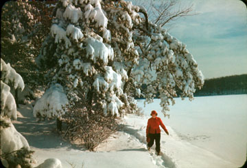 Esther Howe Wheeler Anderson.  Snowshoeing around Walden