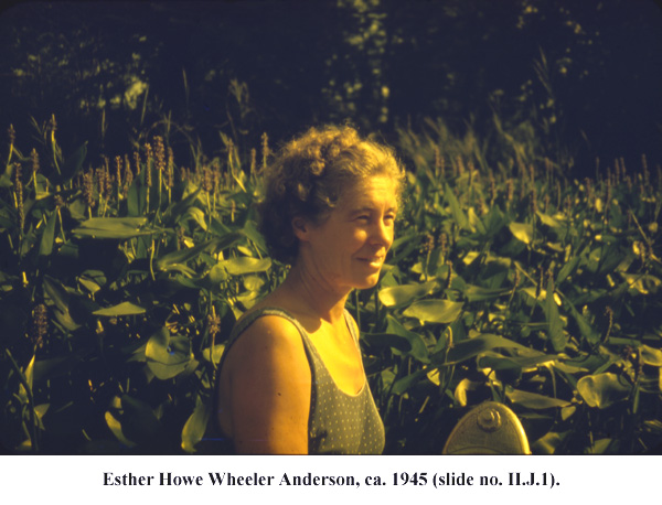Esther Howe Wheeler Anderson, 1945