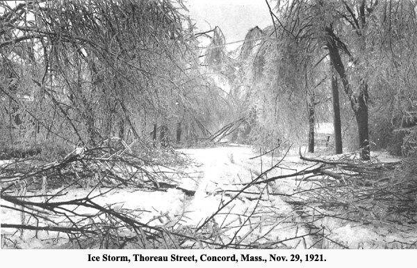 Ice Storm, 1921