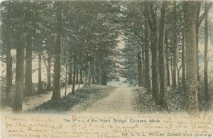 The Pines at the North 
	Bridge, Concord, Mass.; circa 1907 (postmark date)