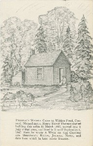 Thoreau's Walden 
	Cabin after a drawing by Sophia Thoreau.; mid- to late 20th century