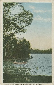Thoreau's Walden Cove Lake. Concord, Mass.; early 20th century